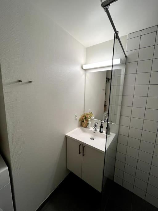 Moderne Lejlighed I Hjertet Af Odense Cアパートメント エクステリア 写真
